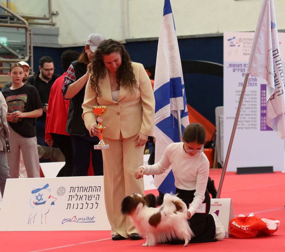 Champion of Champions